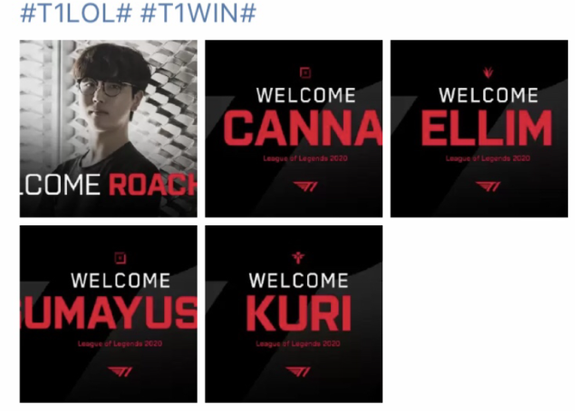 雄鹿签科菲 雄鹿签科菲