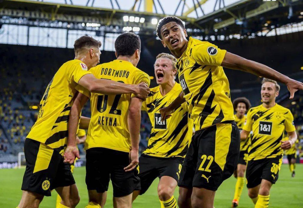 提供了强有 提供了强有